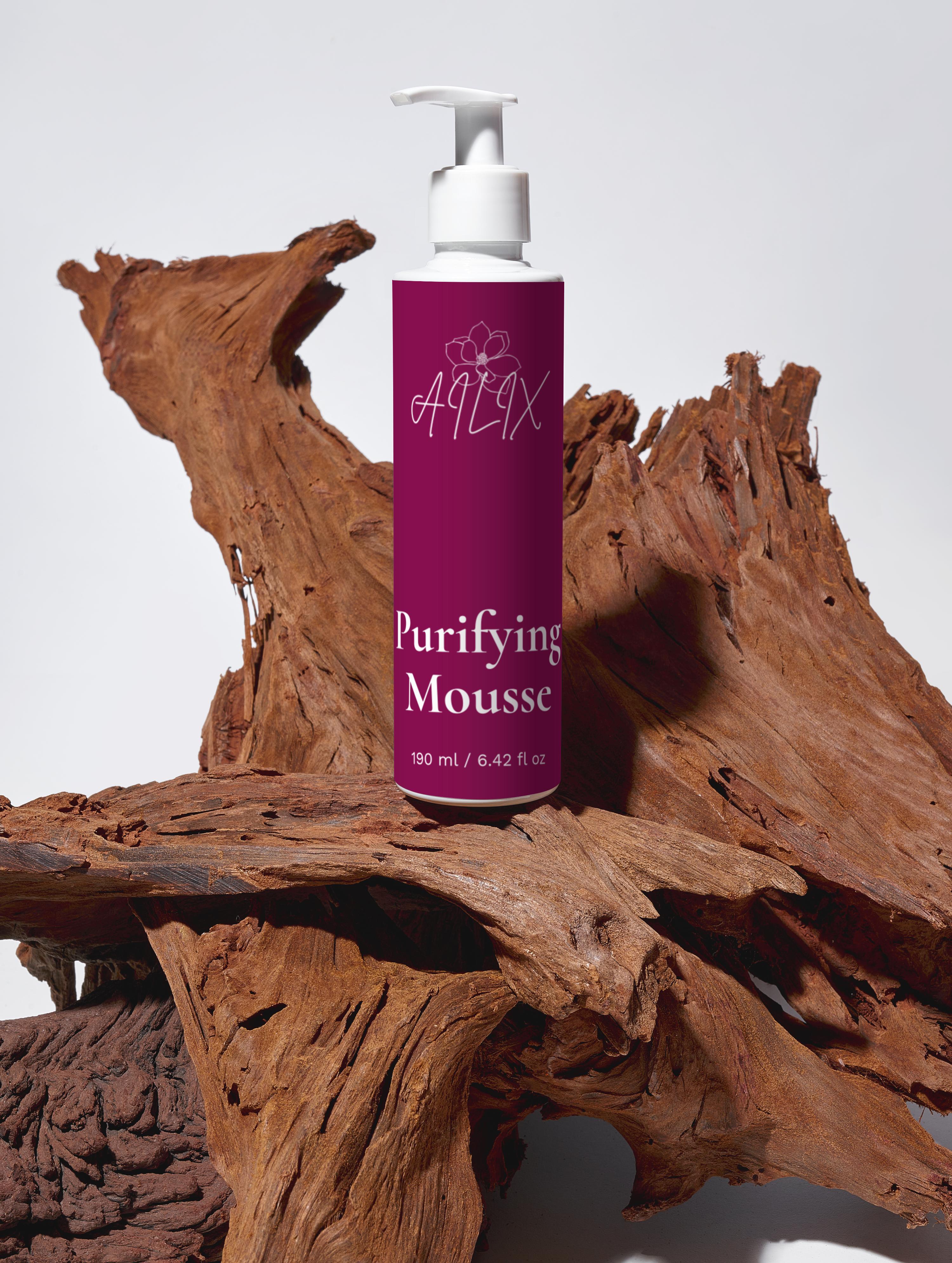 Purifying Mousse